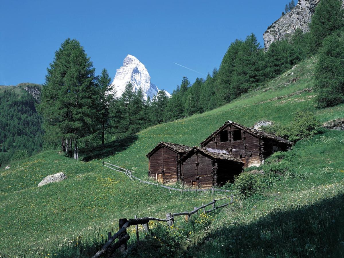 Apartment Sungold-1 By Interhome Zermatt Exterior photo
